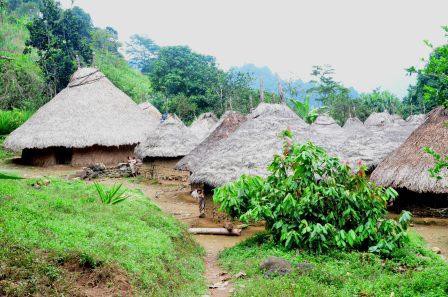 Village indien Kogi, Ciudad Perdida